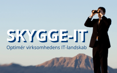 Skygge-IT: Fra udfordringer til muligheder